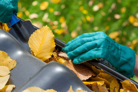 cleaning gutters