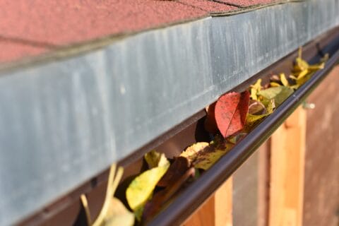 leaves,in,eaves.,cleaning,gutter,blocked,with,autumn,leaves.czech,republic,