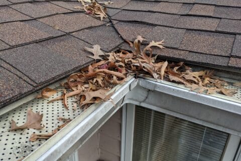 a,roof,corner,with,brown,shingles,and,a,gutter,covered