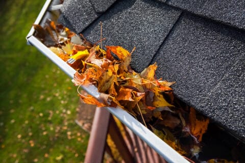 autumn,leaves,clogging,a,rain,gutter,on,a,roof