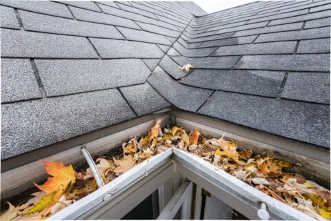 gutters,are,full,of,fall,leaves,and,must,be,cleared